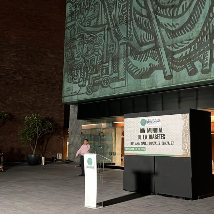 Cámara de Diputados 2024