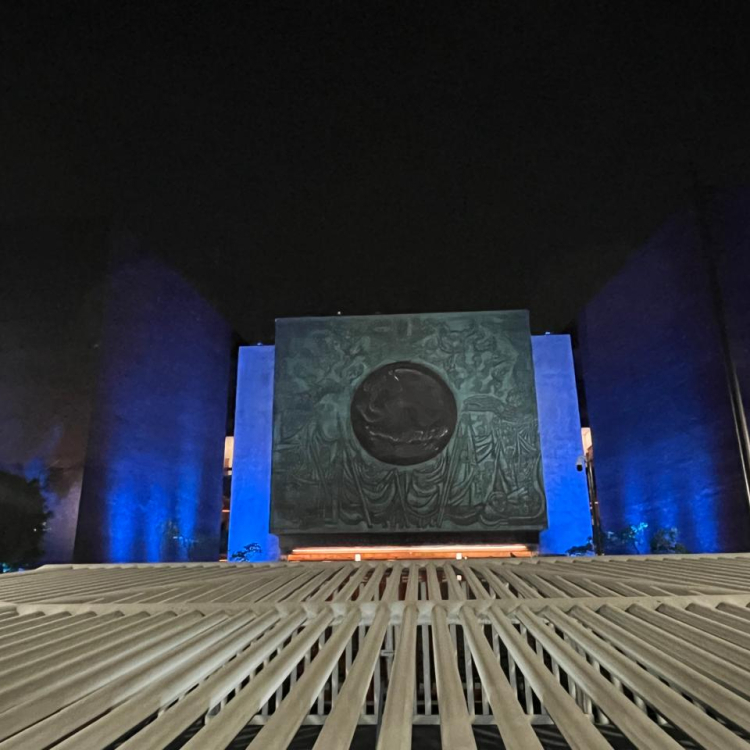 Cámara de Diputados 2024